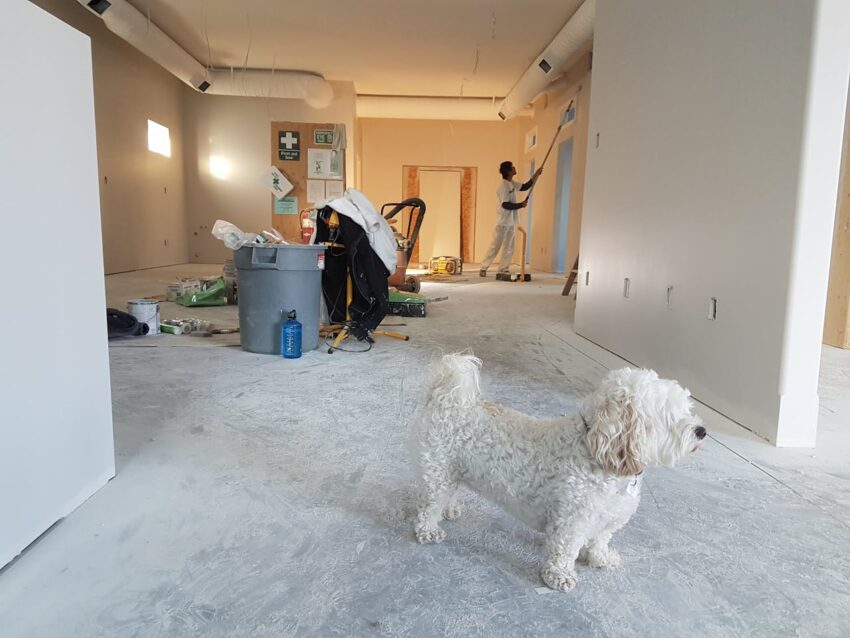 painting contractors